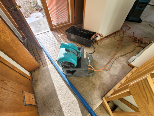 Best Water damage restoration near me  in Williamsburg, VA
