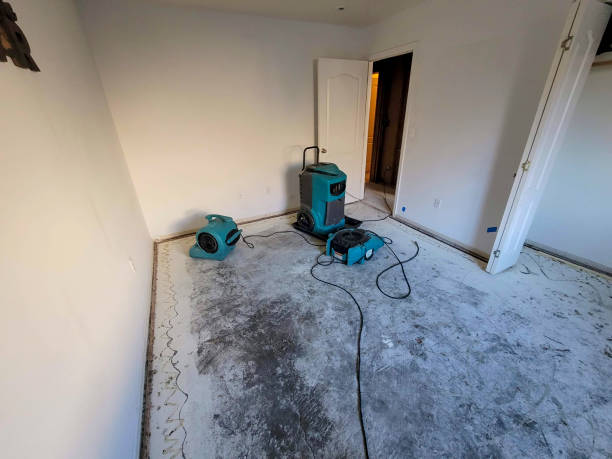 Best 24/7 water damage repair  in Williamsburg, VA