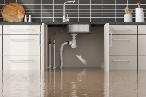 Best Water damage cleanup near me  in Williamsburg, VA