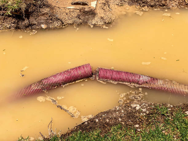 Best Local water damage restoration  in Williamsburg, VA